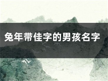 兔年带佳字的男孩名字