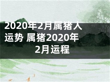 2020年2月属猪人运势 属猪2020年2月运程