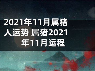 2021年11月属猪人运势 属猪2021年11月运程