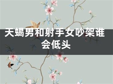 天蝎男和射手女吵架谁会低头