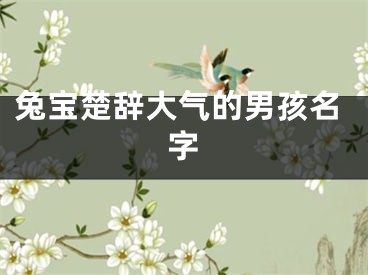 兔宝楚辞大气的男孩名字