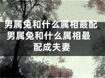 男属兔和什么属相最配 男属兔和什么属相最配成夫妻