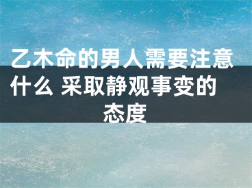 乙木命的男人需要注意什么 采取静观事变的态度