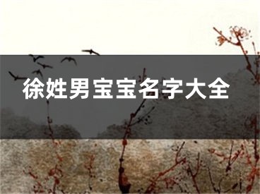 徐姓男宝宝名字大全