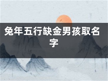 兔年五行缺金男孩取名字