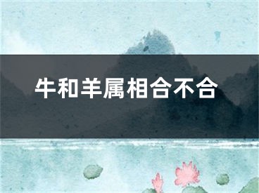 牛和羊属相合不合
