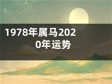 1978年属马2020年运势