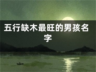 五行缺木最旺的男孩名字