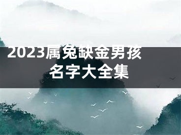 2023属兔缺金男孩名字大全集