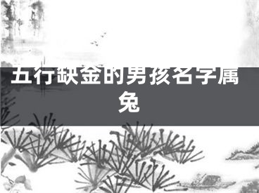 五行缺金的男孩名字属兔