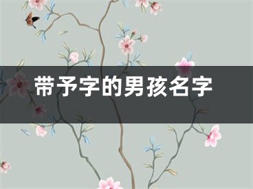 带予字的男孩名字