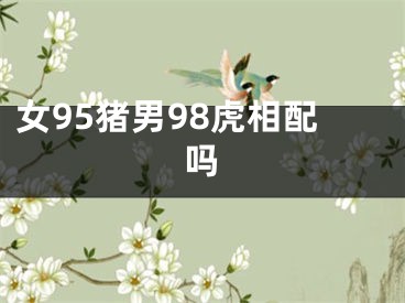 女95猪男98虎相配吗