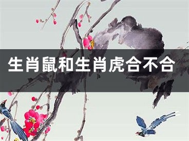 生肖鼠和生肖虎合不合