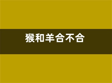 猴和羊合不合