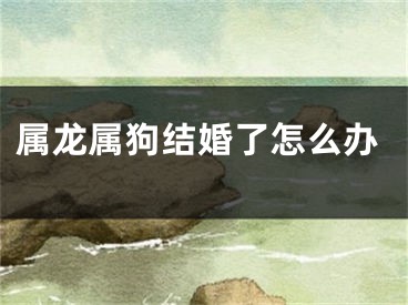 属龙属狗结婚了怎么办