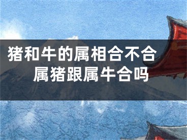 猪和牛的属相合不合 属猪跟属牛合吗