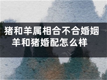 猪和羊属相合不合婚姻 羊和猪婚配怎么样