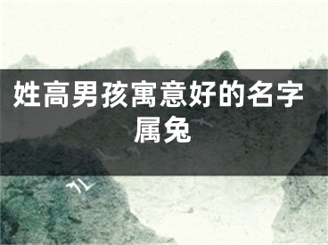 姓高男孩寓意好的名字属兔