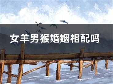 女羊男猴婚姻相配吗