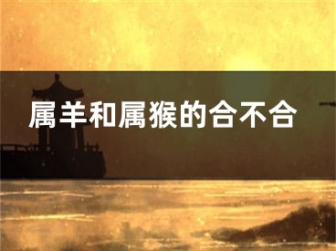 属羊和属猴的合不合