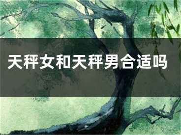 天秤女和天秤男合适吗