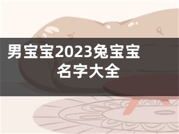男宝宝2023兔宝宝名字大全