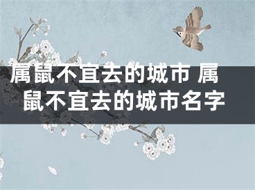 属鼠不宜去的城市 属鼠不宜去的城市名字