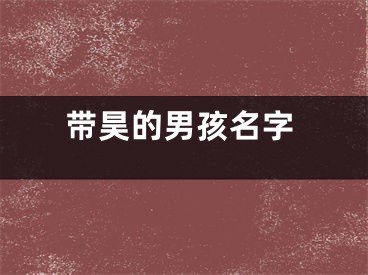 带昊的男孩名字