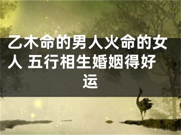 乙木命的男人火命的女人 五行相生婚姻得好运