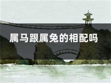 属马跟属兔的相配吗
