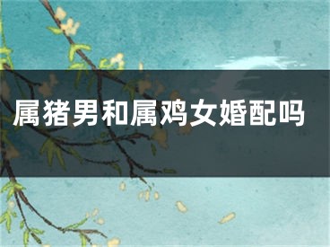 属猪男和属鸡女婚配吗