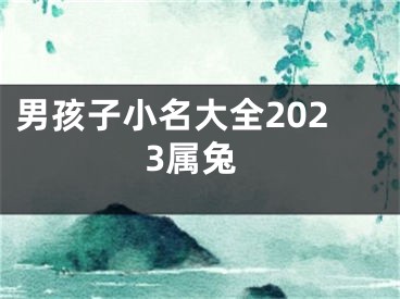 男孩子小名大全2023属兔