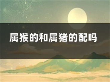 属猴的和属猪的配吗