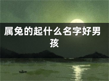 属兔的起什么名字好男孩
