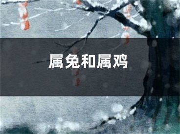 属兔和属鸡