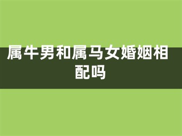 属牛男和属马女婚姻相配吗