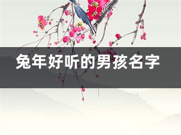 兔年好听的男孩名字