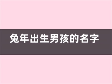 兔年出生男孩的名字