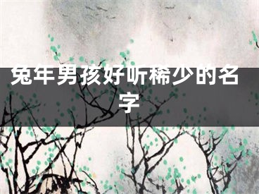兔年男孩好听稀少的名字