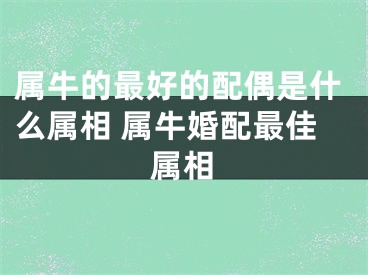 属牛的最好的配偶是什么属相 属牛婚配最佳属相