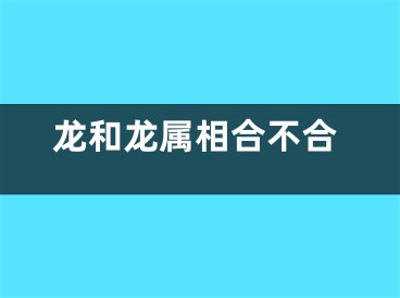 龙和龙属相合不合