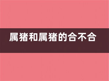 属猪和属猪的合不合