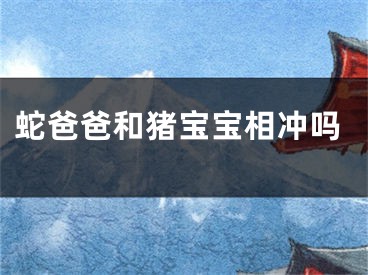 蛇爸爸和猪宝宝相冲吗