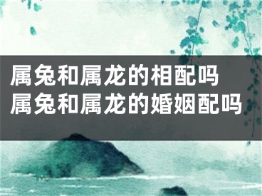 属兔和属龙的相配吗 属兔和属龙的婚姻配吗