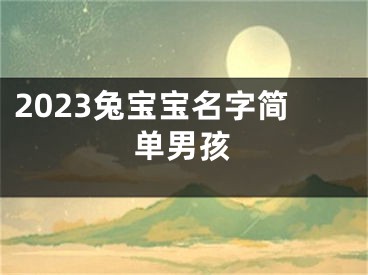 2023兔宝宝名字简单男孩