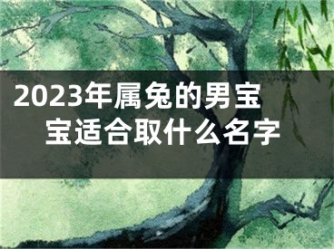 2023年属兔的男宝宝适合取什么名字