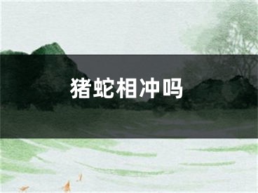 猪蛇相冲吗