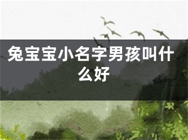 兔宝宝小名字男孩叫什么好