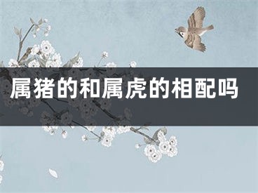 属猪的和属虎的相配吗