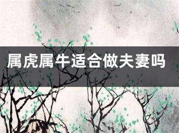 属虎属牛适合做夫妻吗